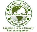 Green Earth Pest Control Services